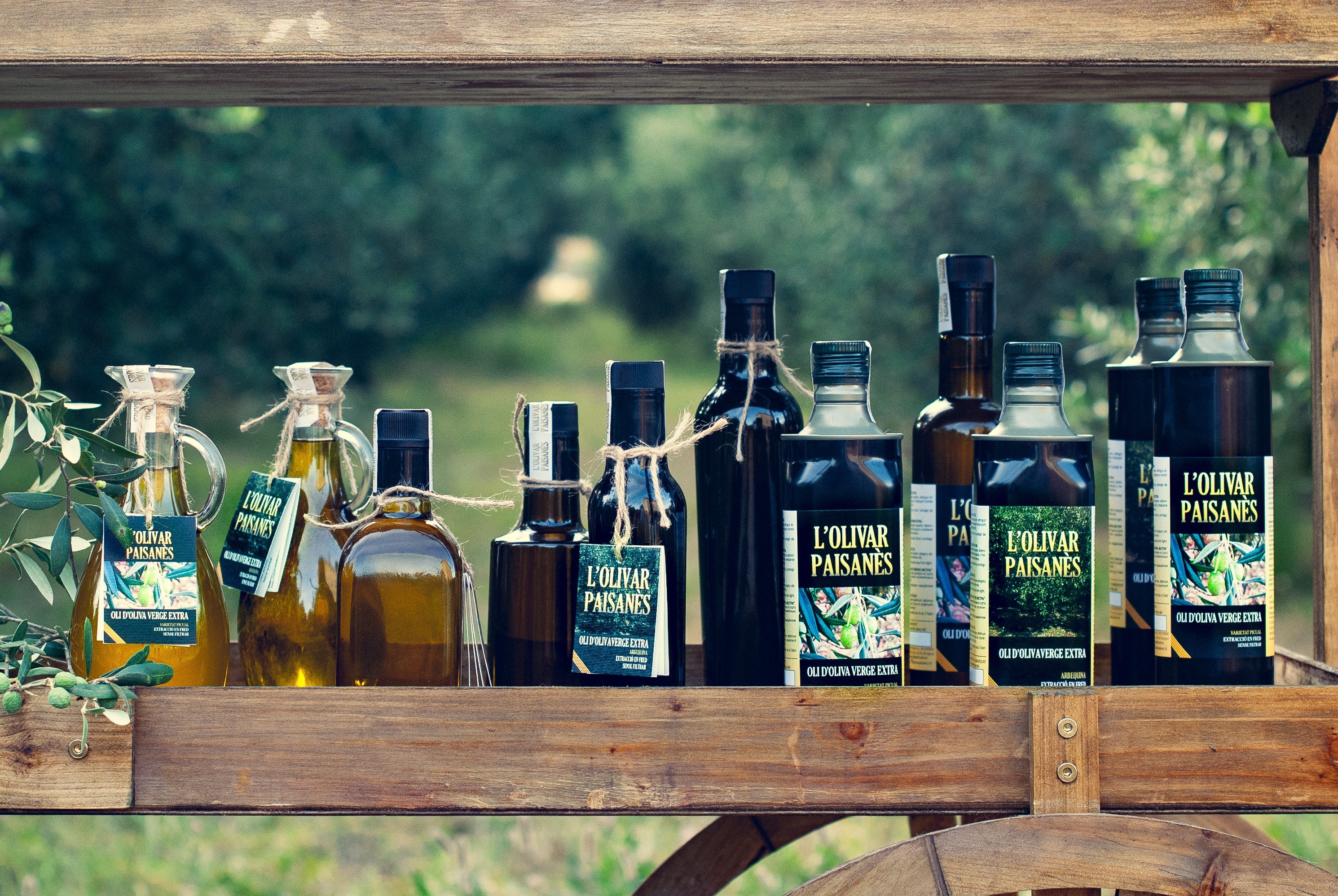 Aceite de oliva virgen extra en variedad arbequina