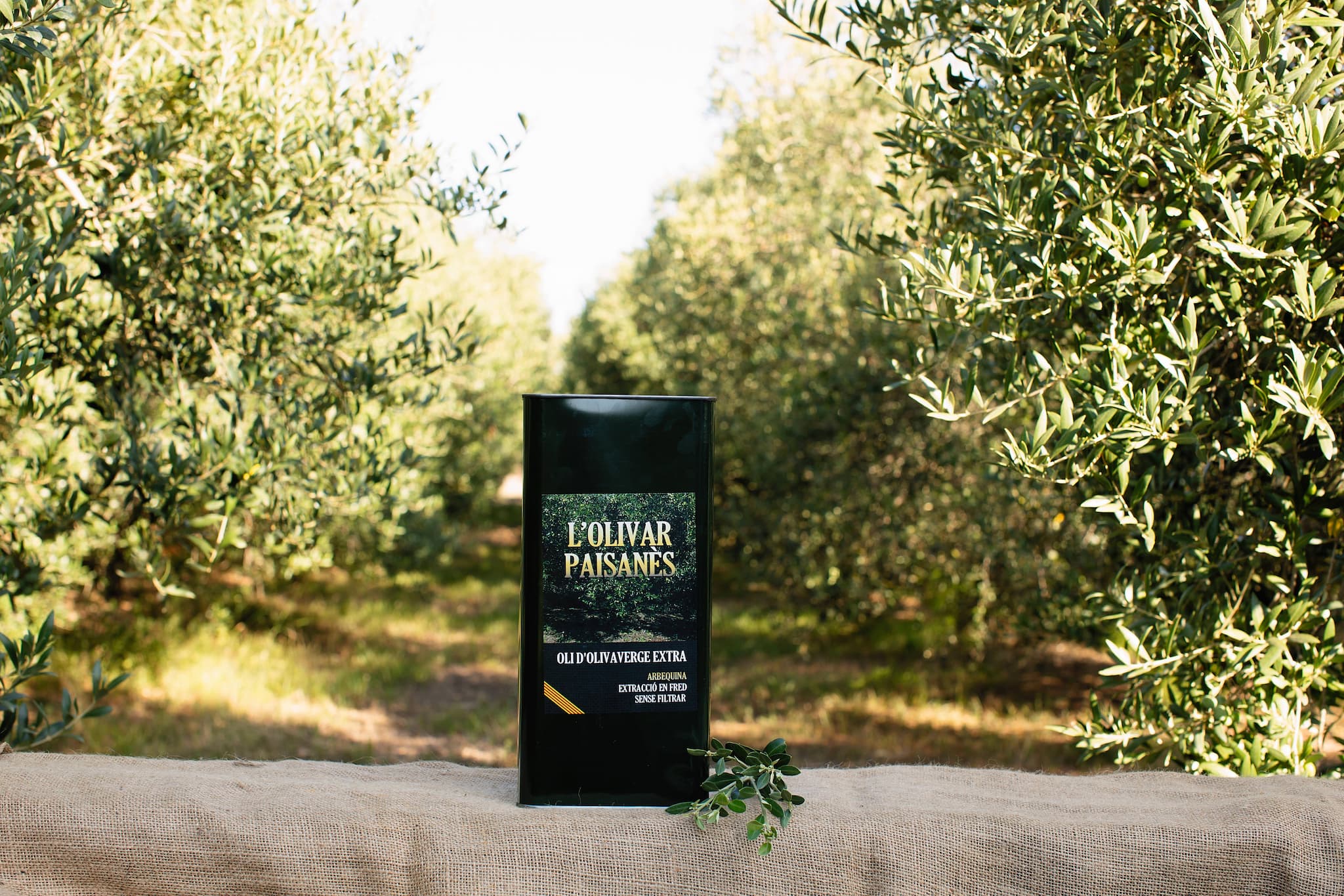 2.5 liter can of arbequina olive oil