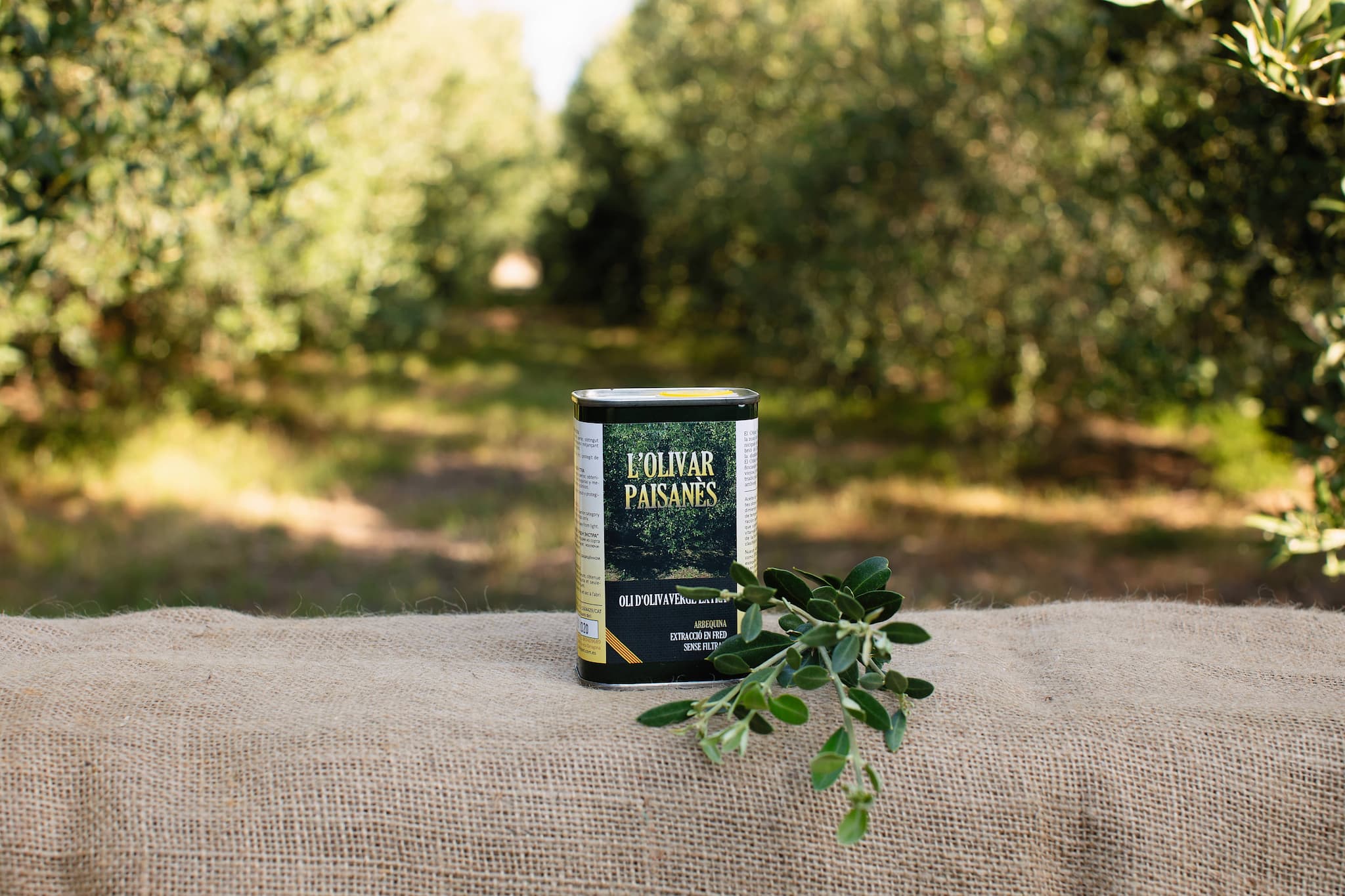 250 ml can of Arbequina olive oil