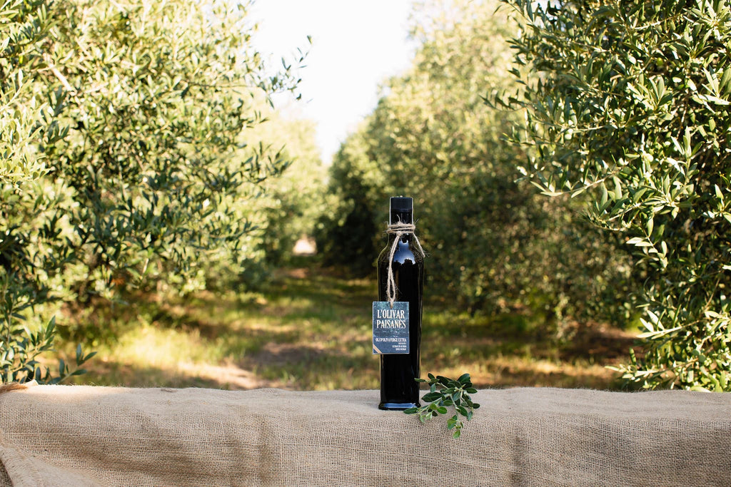 Huile d'olive arbequina Fiorentina, bouteille de 500 ml