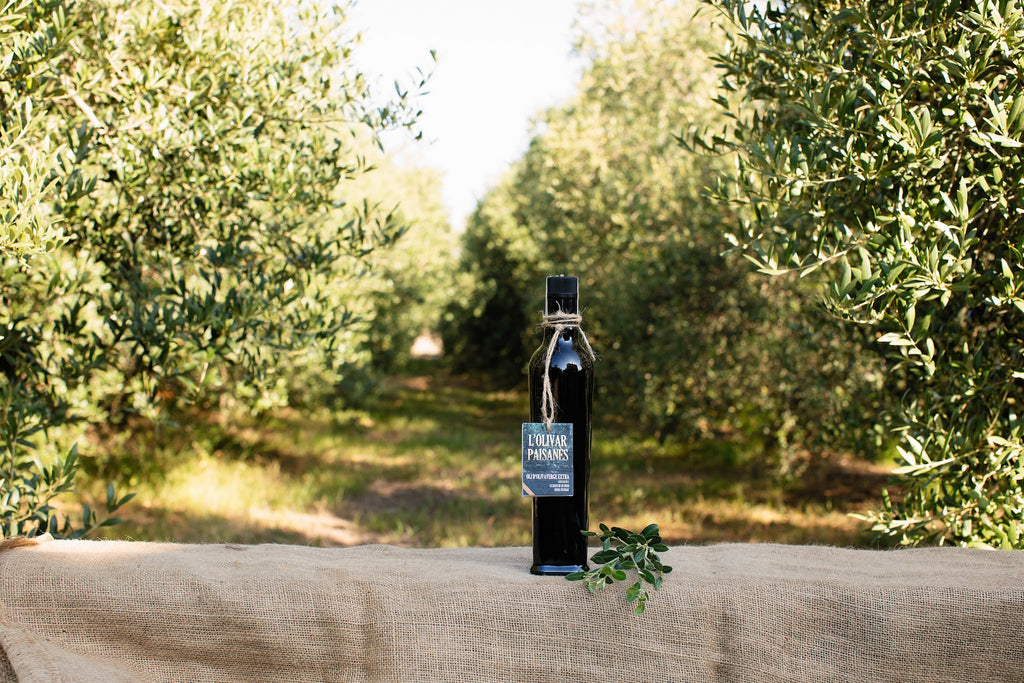 Bouteille Fiorentina de 250 ml d'huile d'olive Arbequina