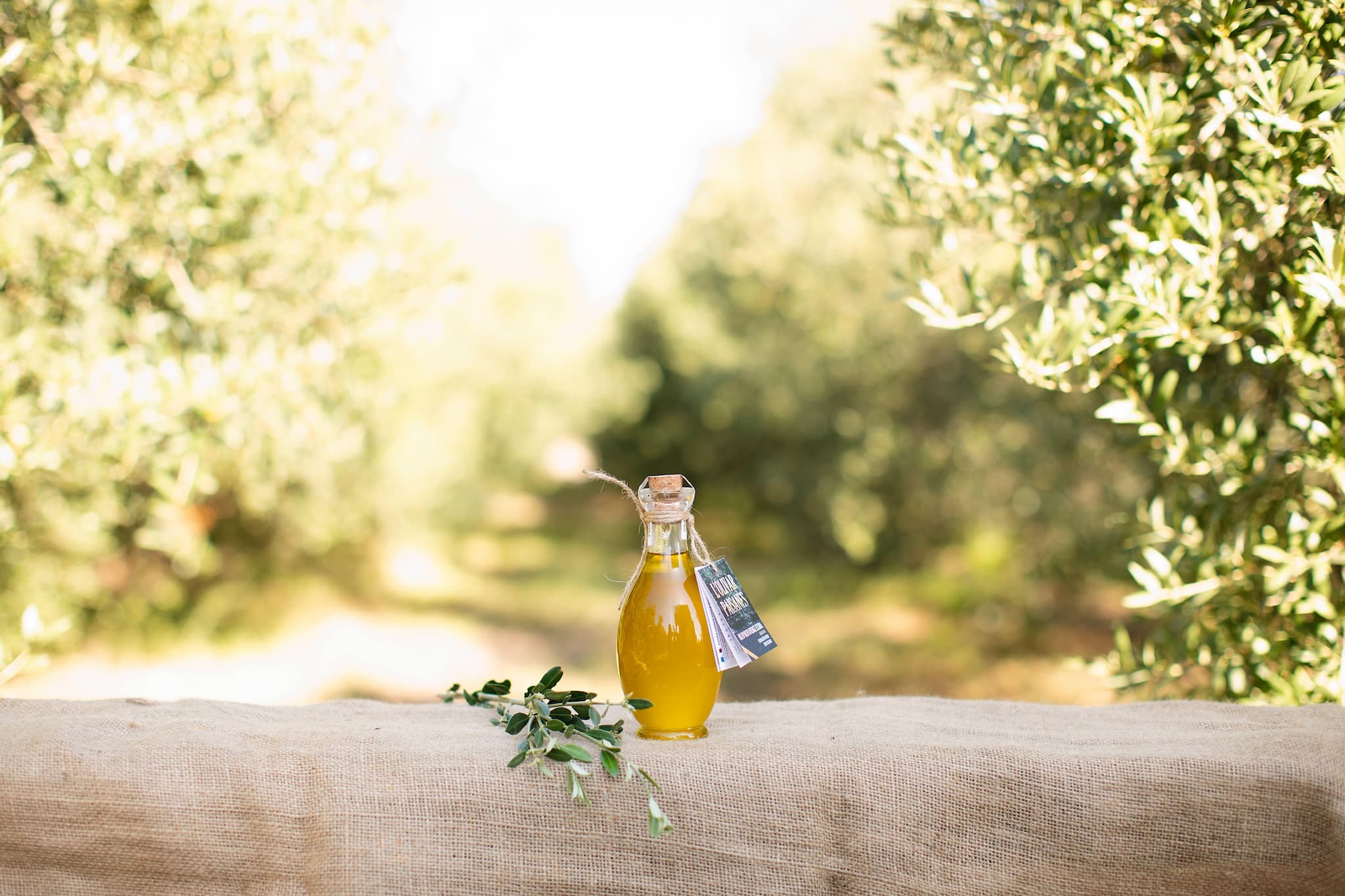 Egyptian jug of 250 ml of Arbequina olive oil