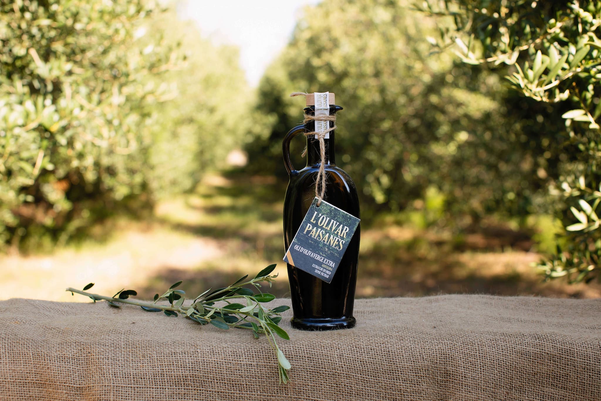 Elegant jug of 100 ml of Arbequina olive oil