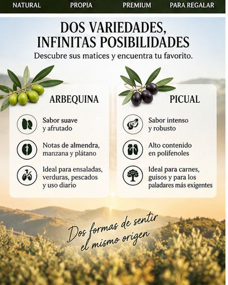 Degustación de AOVE Arbequina suave y afrutado junto a Picual intenso y robusto