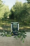 Lata 250ml AOVE Picual Verde Temprano